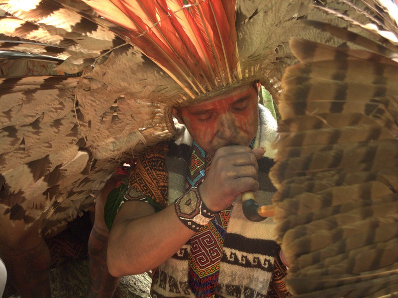 Хару Кунтанава дует хапе в нос другому шаману.


