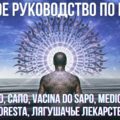 Полное руководство по камбо (Кампо, Сапо, Vacina do sapo, Medicina da floresta, Лягушачье лекарство)