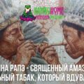 Медицина Рапэ - священный амазонский нюхательный табак, который вдувают в нос