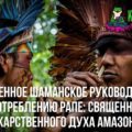 Современное шаманское руководство по употреблению Рапе: священного лекарственного духа Амазонки
