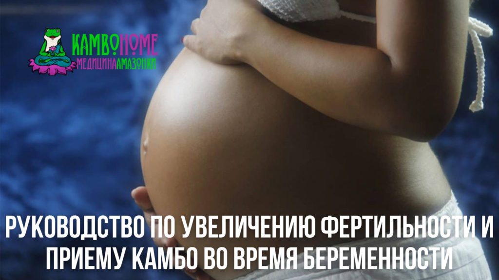 Руководство по увеличению фертильности и приему камбо во время беременности