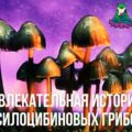 Увлекательная история псилоцибиновых грибов