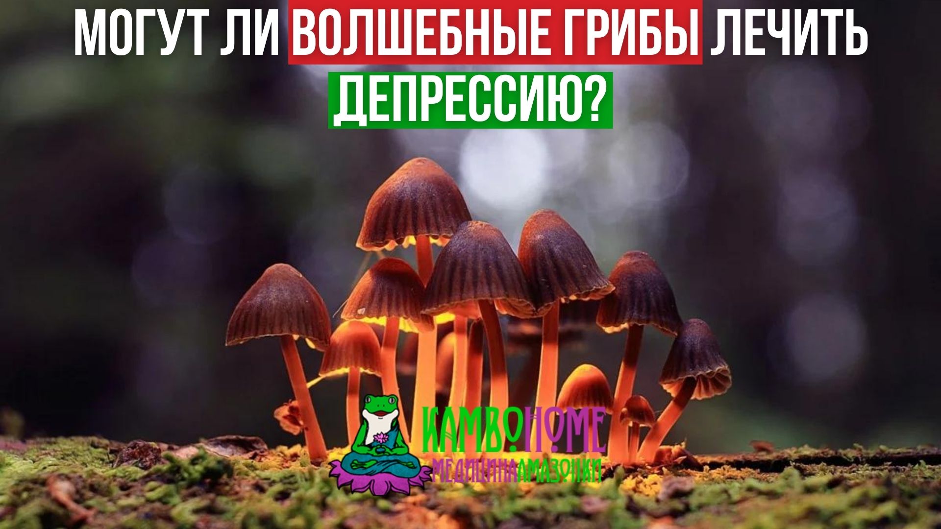 Могут ли волшебные грибы лечить депрессию?
