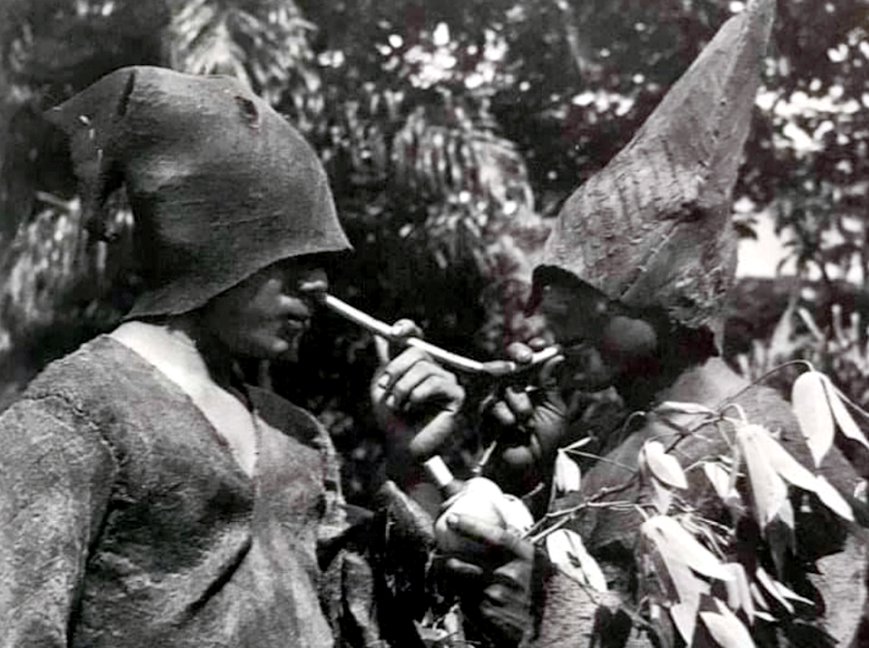 Рисунок 1. Студенты якуна передают рапе в Каньо Гуакайя, Рио Миритипарана, Амазонас.  (Источник:  Фотография, сделанная в 1941-1961 годах, из книги "Лоза души" Ричарда Эванса Шультеса и Роберта Раффауфа).