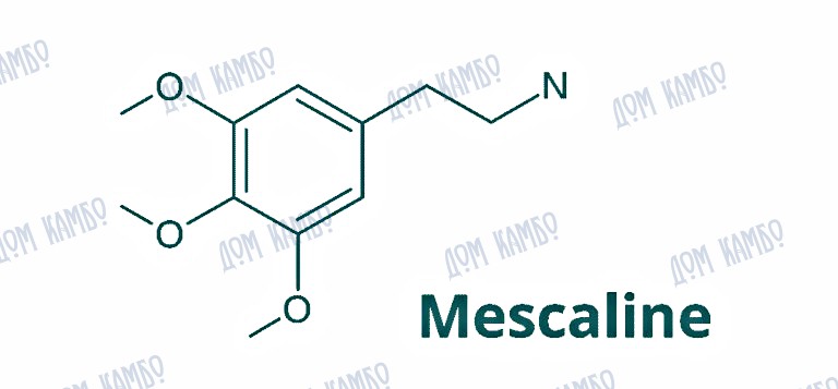 Молекула мескалина