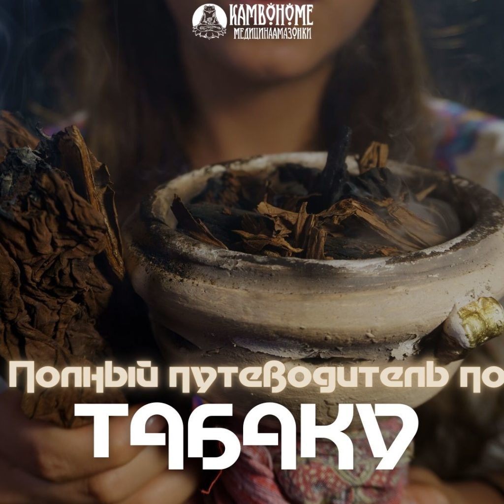 ПОЛНЫЙ ПУТЕВОДИТЕЛЬ ПО ТАБАКУ